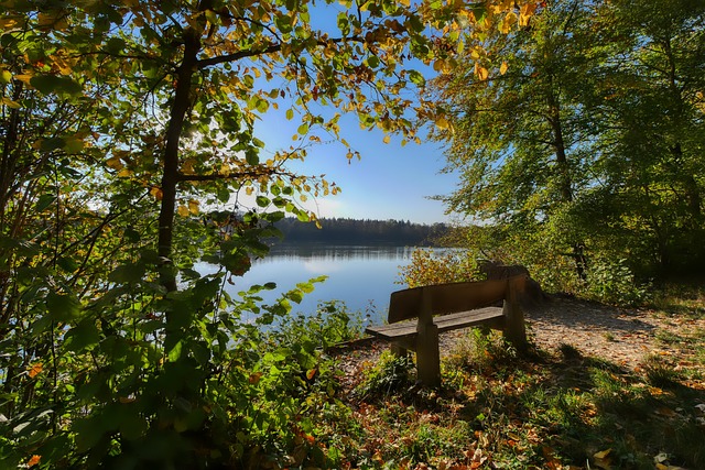 提供的信息 提供的信息