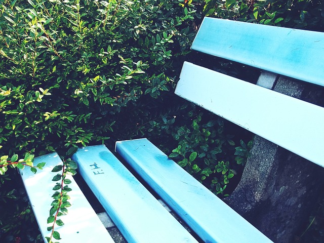 乐部在困境 乐部在困境