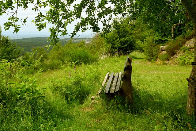 新定义后续 新定义后续